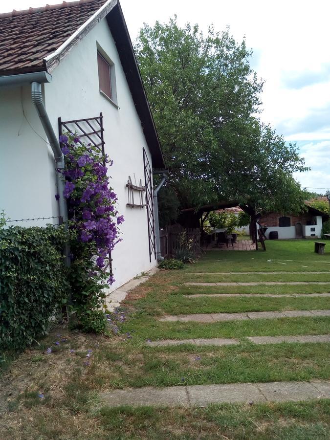 Kiad-Lak Apartmanok - Szep Kartya Elfogado Abádszalók Zewnętrze zdjęcie